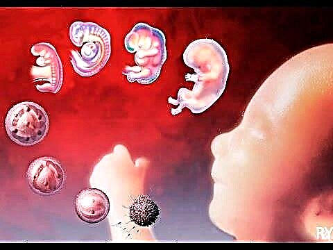 Embryoutveckling dag efter överföring med IVF