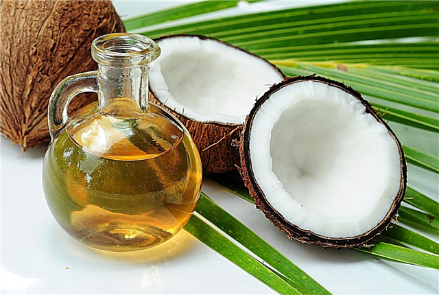 Jemnost používání kokosového oleje na strie během těhotenství