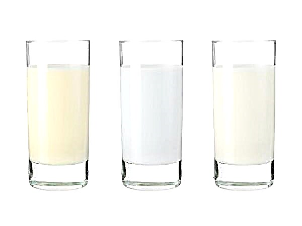 Hvordan øges fedtindholdet i modermælk?