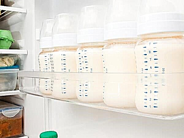Berapa lama ASI dapat disimpan di lemari es dan bagaimana cara melakukannya?