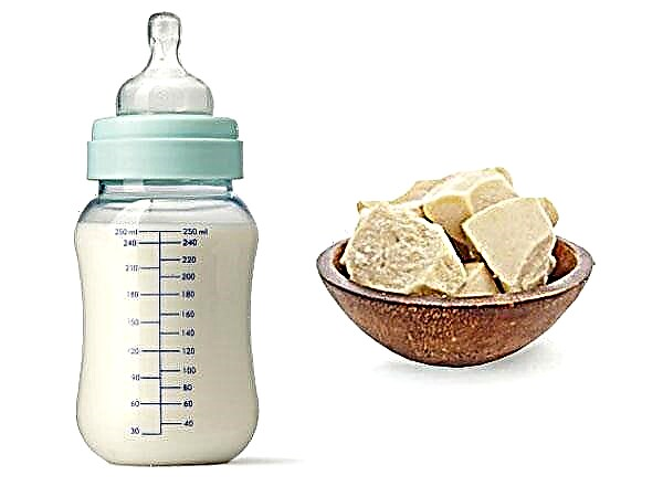 ¿El aceite de palma es dañino en la fórmula y la comida para bebés?