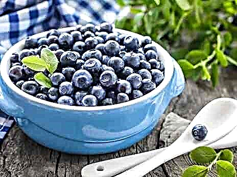 Pada usia berapa Anda bisa memberikan blueberry kepada anak-anak?