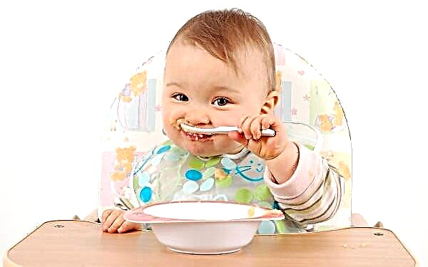 At what age can you give solid food and how can you teach your child to chew?