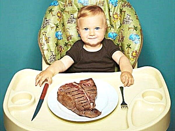 Pri kateri starosti lahko otroku daste svinjsko meso in katere jedi je bolje kuhati?