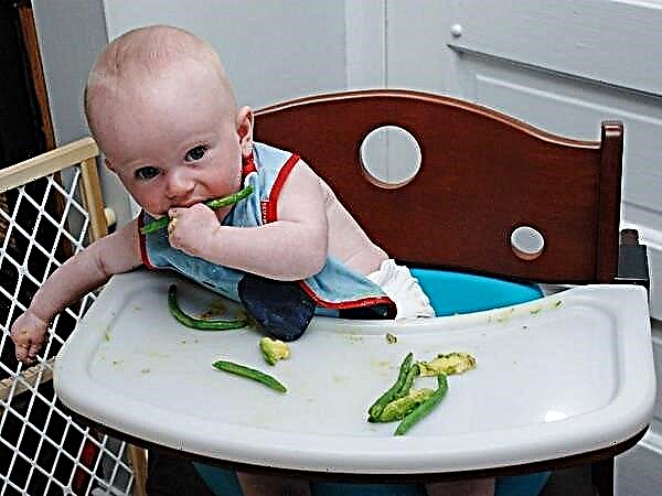 Ở độ tuổi nào thì có thể cho trẻ ăn đậu?