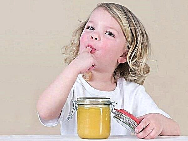 A che età si può dare il miele a un bambino?