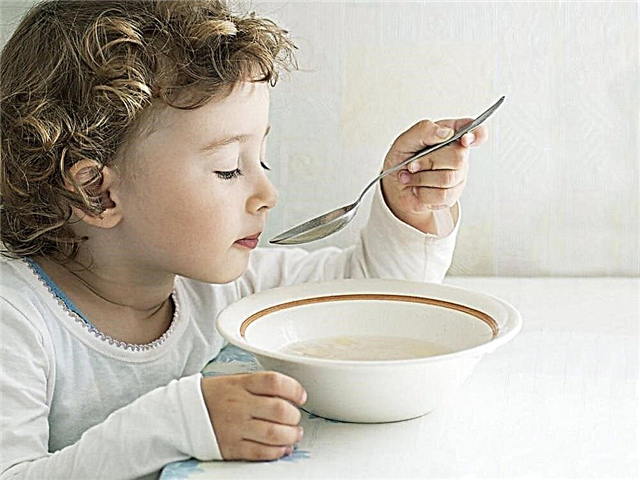 Kdy můžete dítěti dát masový vývar a polévky?