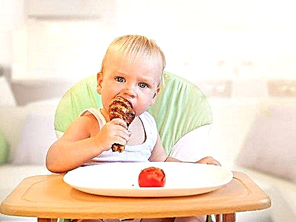 Mohou děti jíst smažené jídlo a v jakém věku by jim měla být taková jídla podávána?
