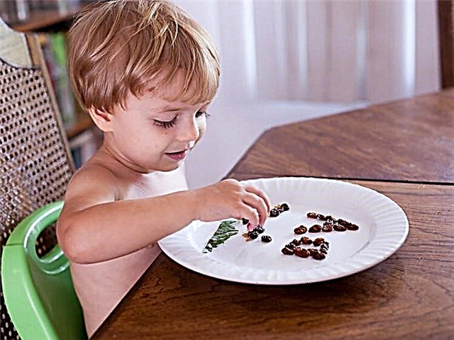 Les raisins secs peuvent-ils être donnés aux enfants et comment en faire une compote?
