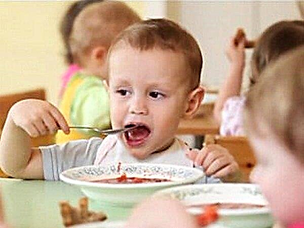 Com que idade o borscht pode ser dado a uma criança?