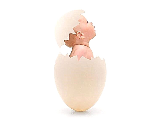 ¿Cuándo puede darle claras de huevo a su bebé?