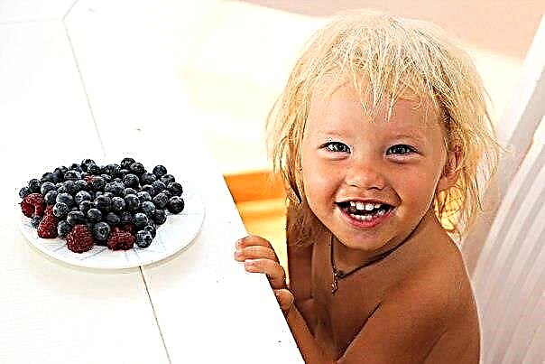 I hvilken alder kan du give dit barn blåbær?
