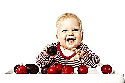 À quel âge pouvez-vous donner des prunes aux enfants et que faire si un enfant avale un os?