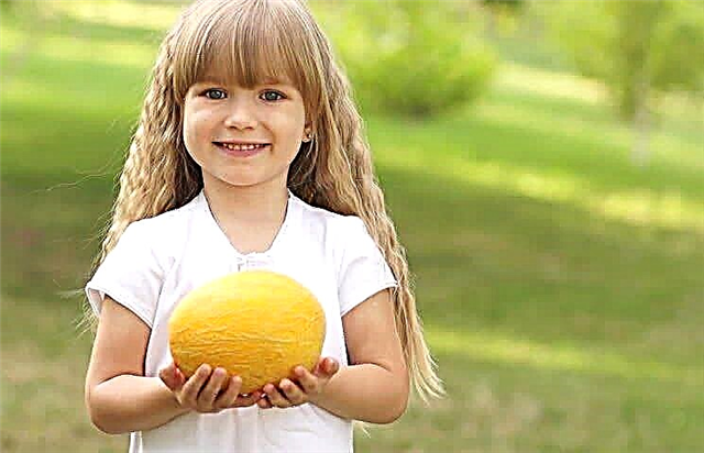 At what age can melon be given to a child?