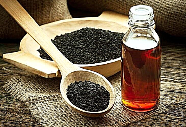 Can black seed oil be given to children and what does it heal?