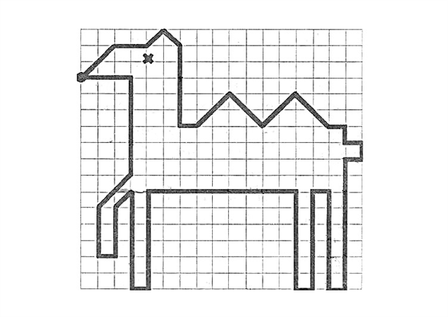 Graficzne dyktando „Camel”