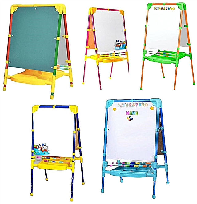 Easel Nika Kids: features and benefits