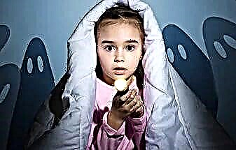 Why is the child afraid of the dark and what to do? Psychological advice
