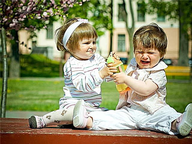 Qué hacer si un niño pelea en el jardín de infantes: consejo de un psicólogo