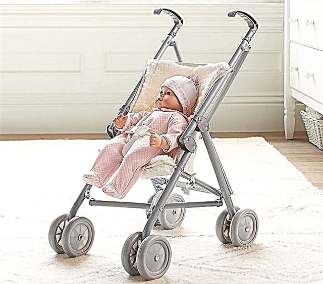 Strollers for dolls: variety of models and features of choice