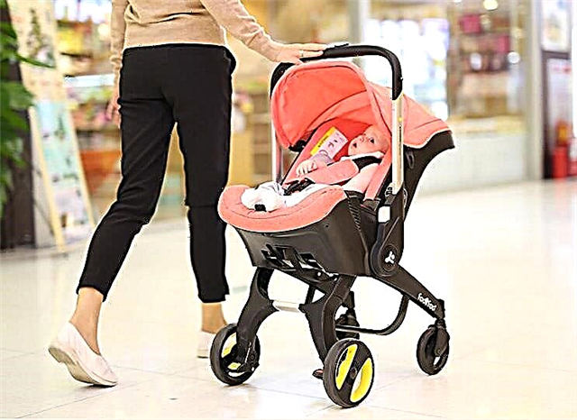 Kenmerken van autostoeltjes voor baby's met wielen