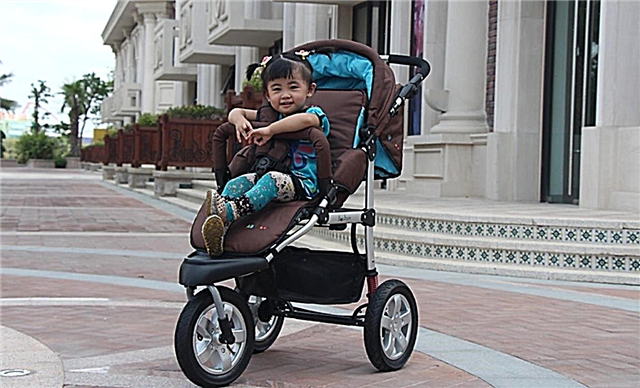 عربات الأطفال ذات الثلاث عجلات: ميزات ونصائح للاختيار