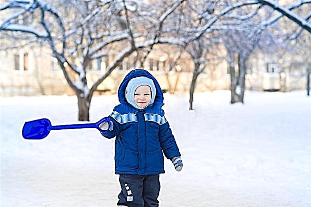 Xẻng xúc tuyết trẻ em: các loại và mẹo chọn 