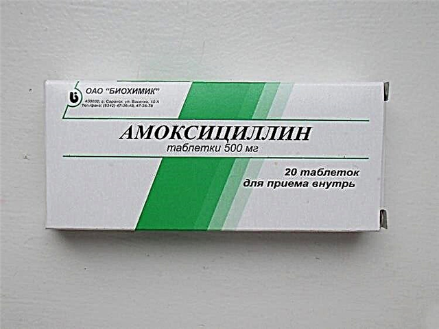 Amoxicillin cho trẻ em