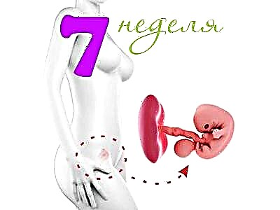 Vývoj plodu v 7. týždni tehotenstva