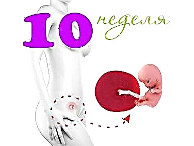 Vývoj plodu v 10. týždni tehotenstva 