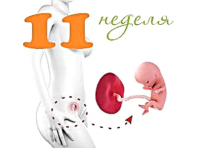 Розвиток плода на 11 тижні вагітності