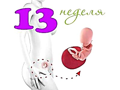 Vývoj plodu v 13. týždni tehotenstva
