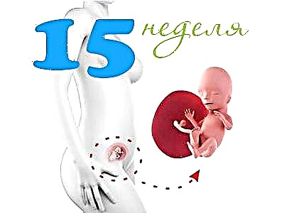 15 सप्ताह के गर्भ में भ्रूण का विकास