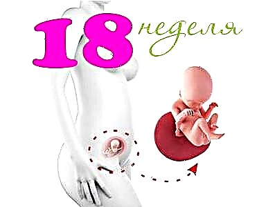 Fosterutveckling vid 18 veckors graviditet