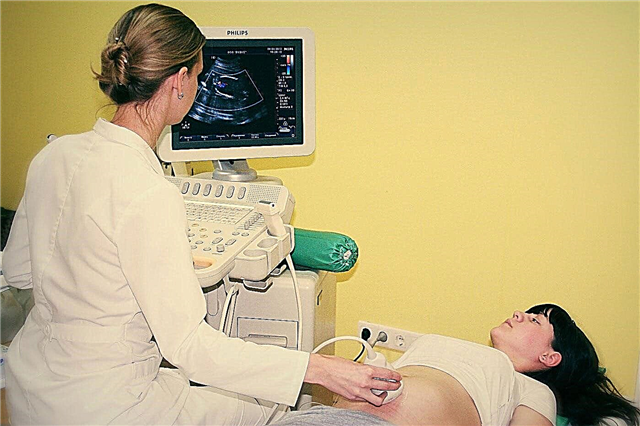 Ultraheli 18. rasedusnädalal: loote suurus ja muud omadused