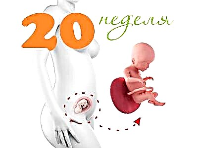 Vývoj plodu v 20. týždni tehotenstva
