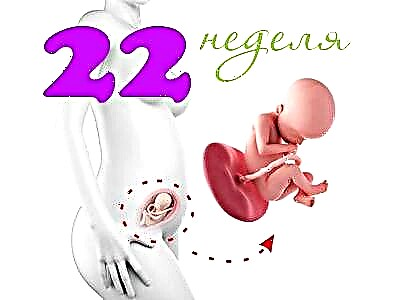 Vývoj plodu ve 22. týdnu těhotenství
