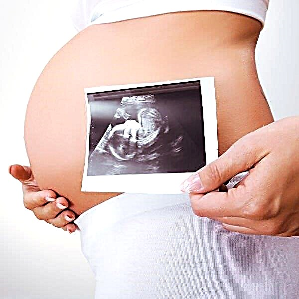 Ultralyd ved 22 ugers svangerskab: fosterstørrelse og andre funktioner