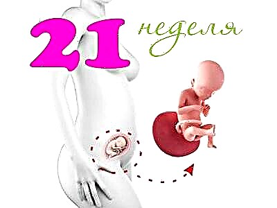 Vývoj plodu v 21. týždni tehotenstva