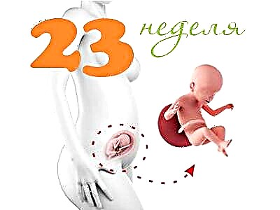Rozwój płodu w 23 tygodniu ciąży