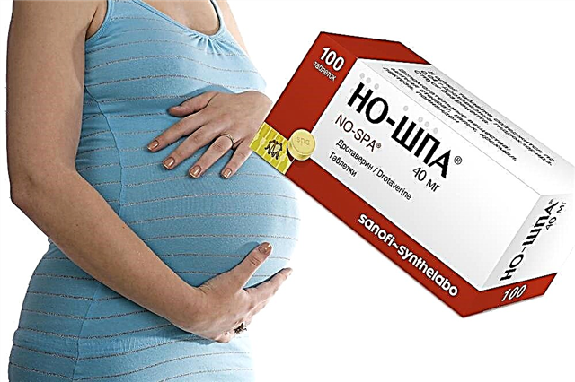  „No-shpa” în timpul sarcinii: instrucțiuni de utilizare