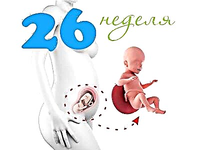 Razvoj ploda v 26. tednu nosečnosti