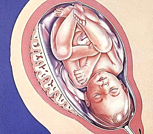 Debljina posteljice prema tjednu trudnoće