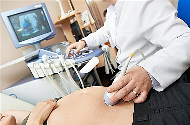 Ultraääni 17 raskausviikolla: sikiön koko ja muut ominaisuudet