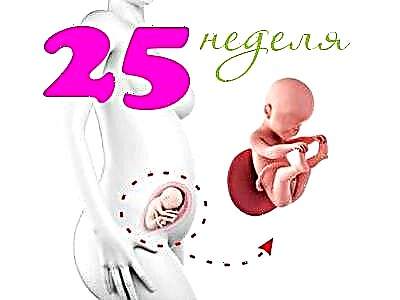 Розвиток плода на 25 тижні вагітності