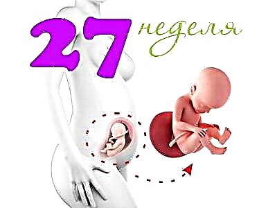 Fetale Entwicklung in der 27. Schwangerschaftswoche