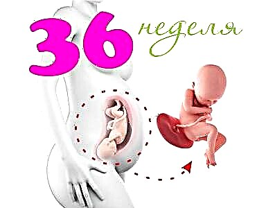 Vývoj plodu v 36. týždni tehotenstva