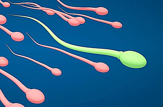 Kako dolgo lahko sperma živi in ​​kaj vpliva na njihovo sposobnost preživetja?