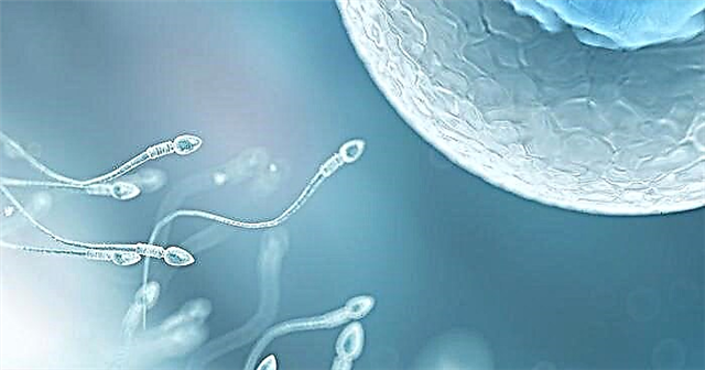 Kako pokretljivost sperme utječe na uspjeh začeća?