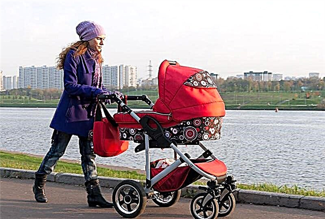Otroški vozički za novorojenčke: ocena najboljših modelov